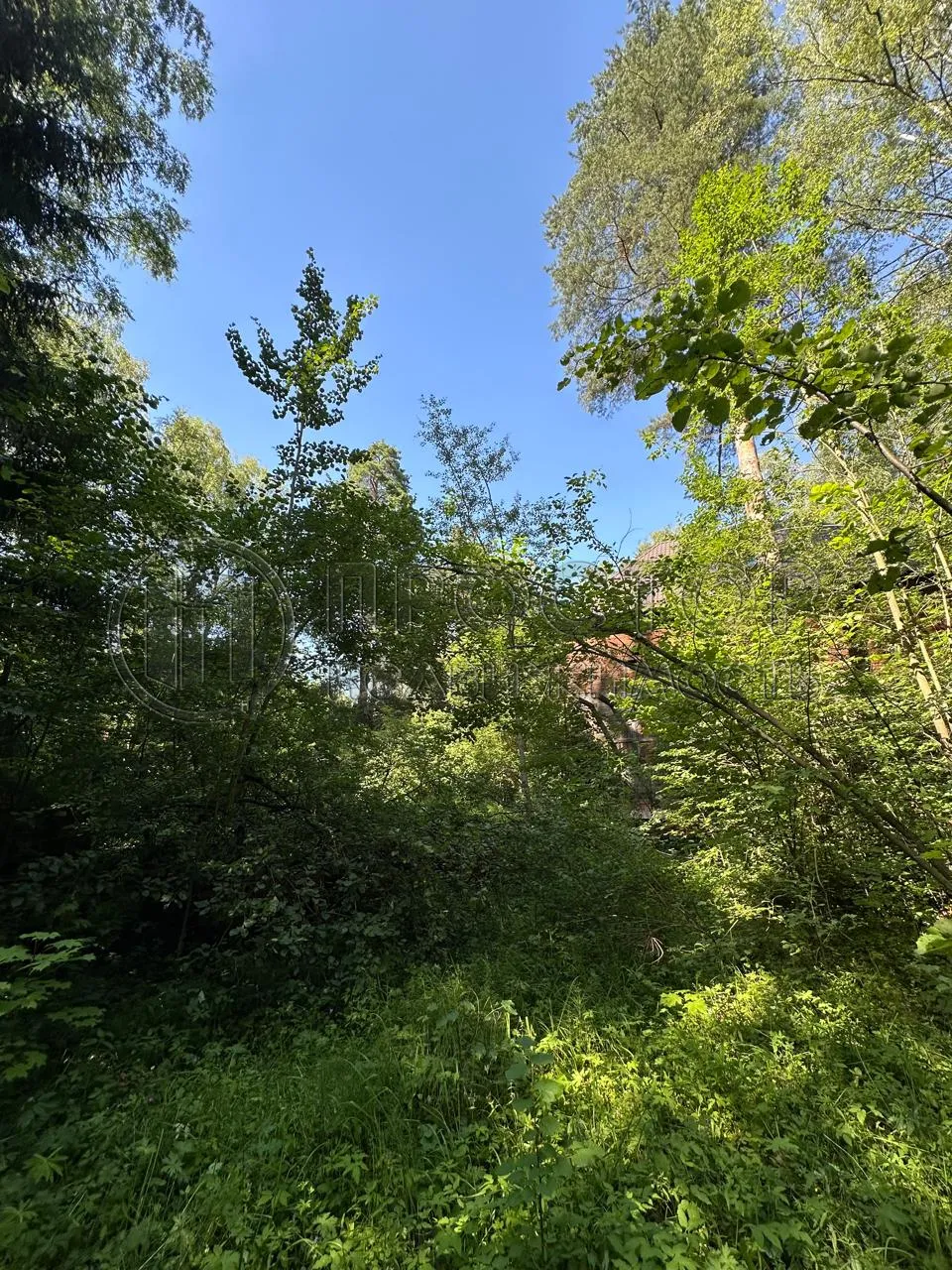 Участок, 52 сот. - фото 8