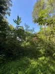 Участок, 52 сот. - фото 24
