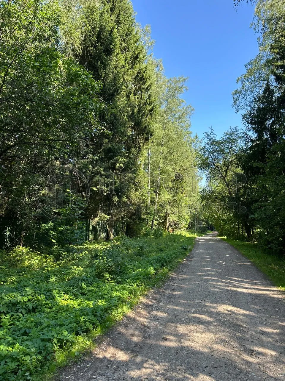 Участок, 52 сот. - фото 9