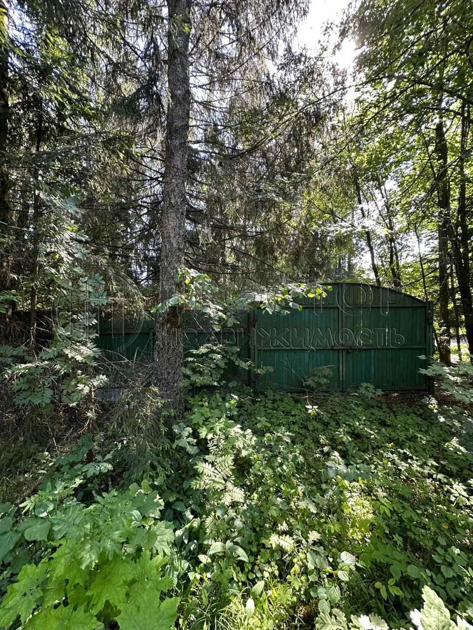 Участок, 52 сот. - фото 10