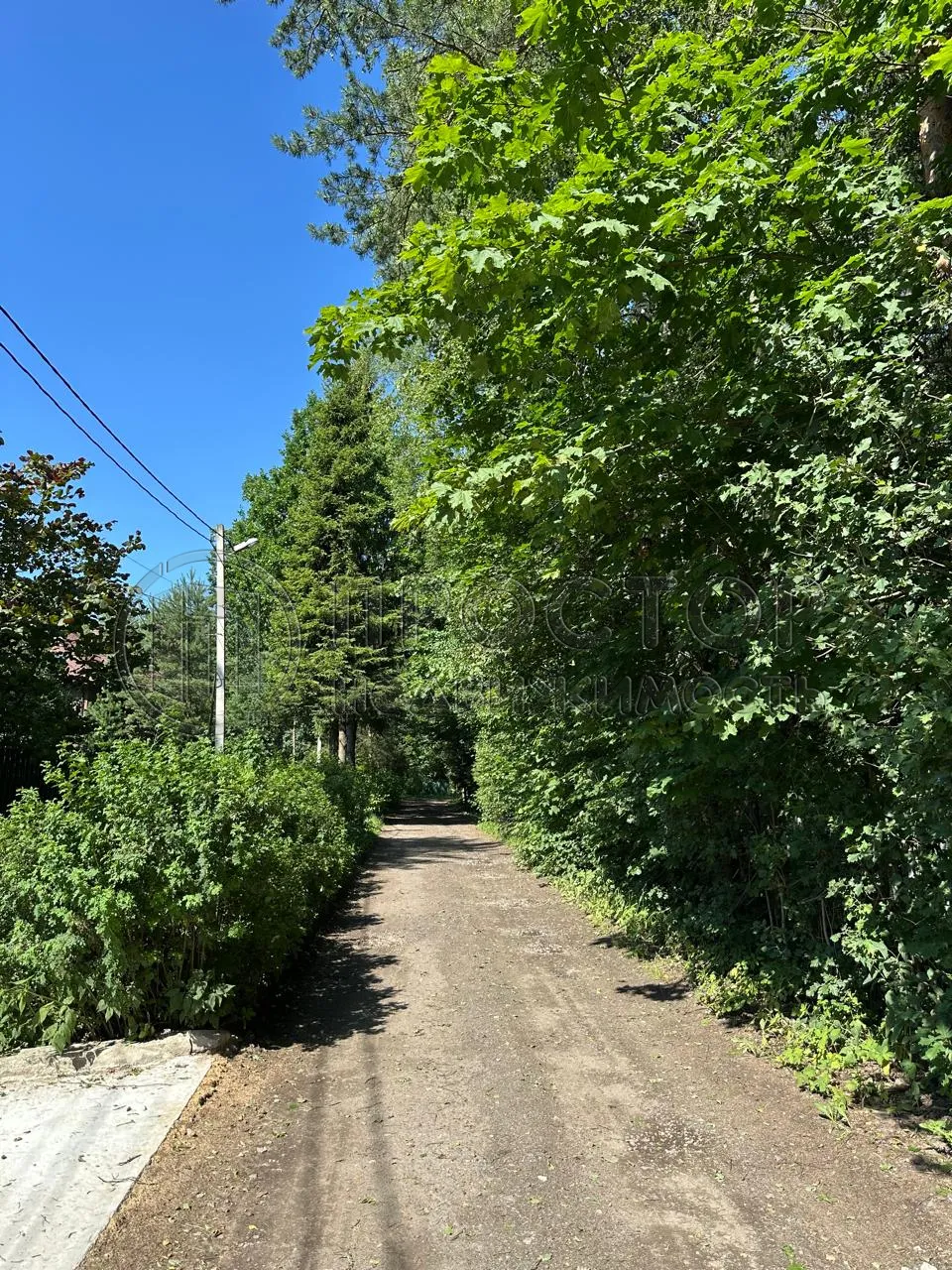 Участок, 52 сот. - фото 11