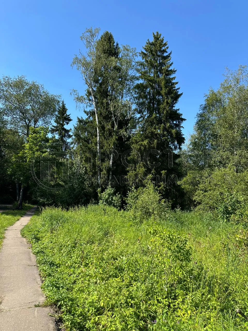 Участок, 52 сот. - фото 12