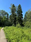 Участок, 52 сот. - фото 28