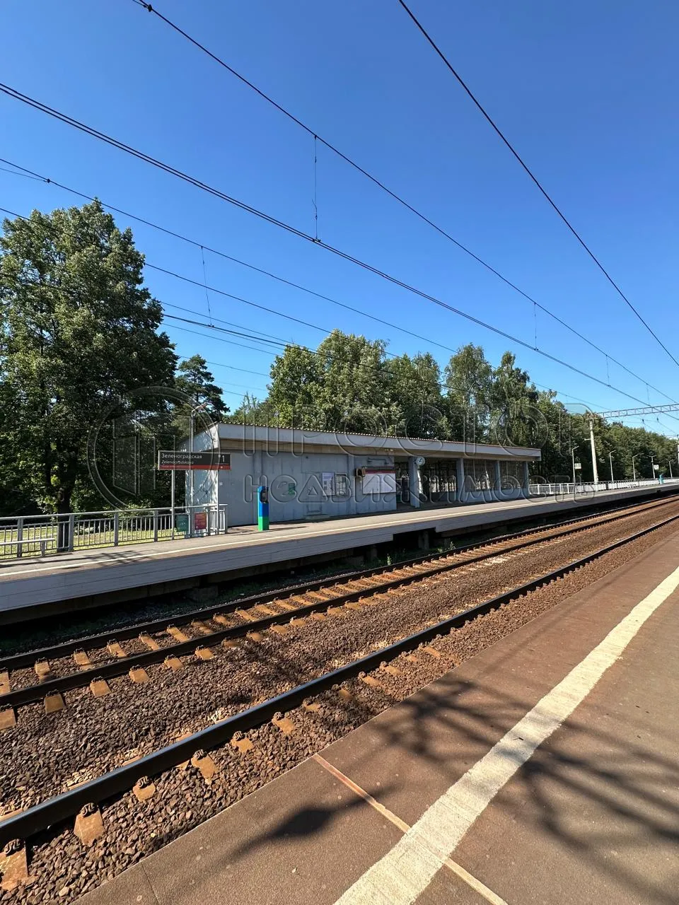 Участок, 52 сот. - фото 14