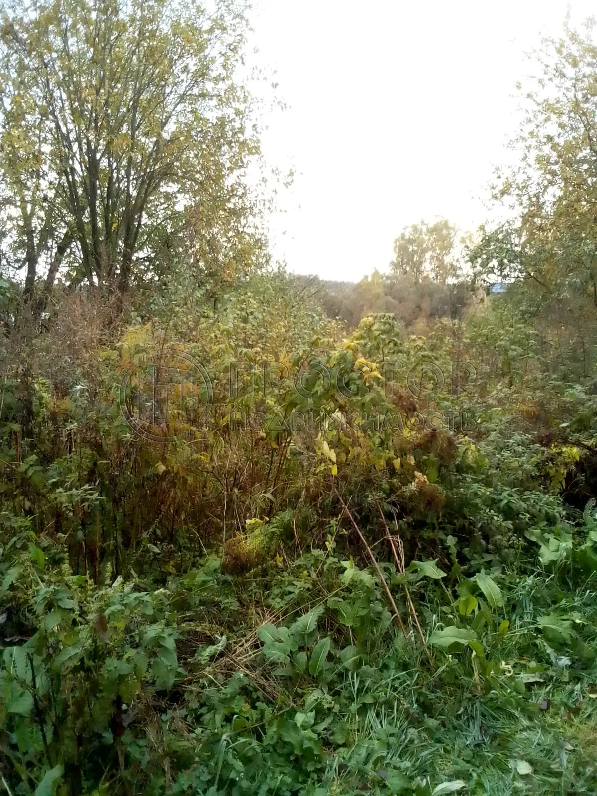 4-комнатная квартира, 80 м² - фото 11