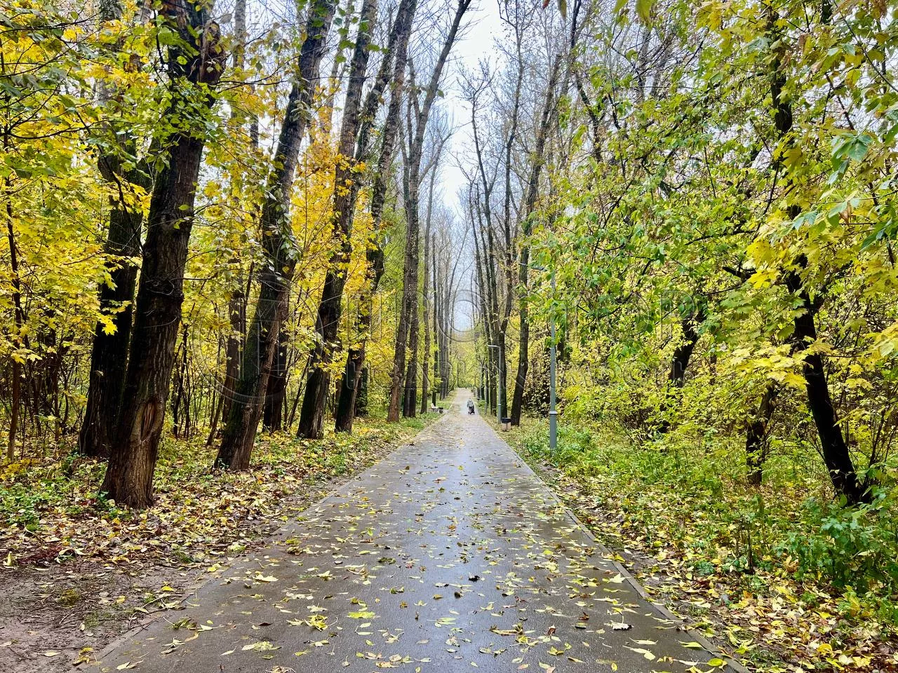 3-комнатная квартира, 77.1 м² - фото 10