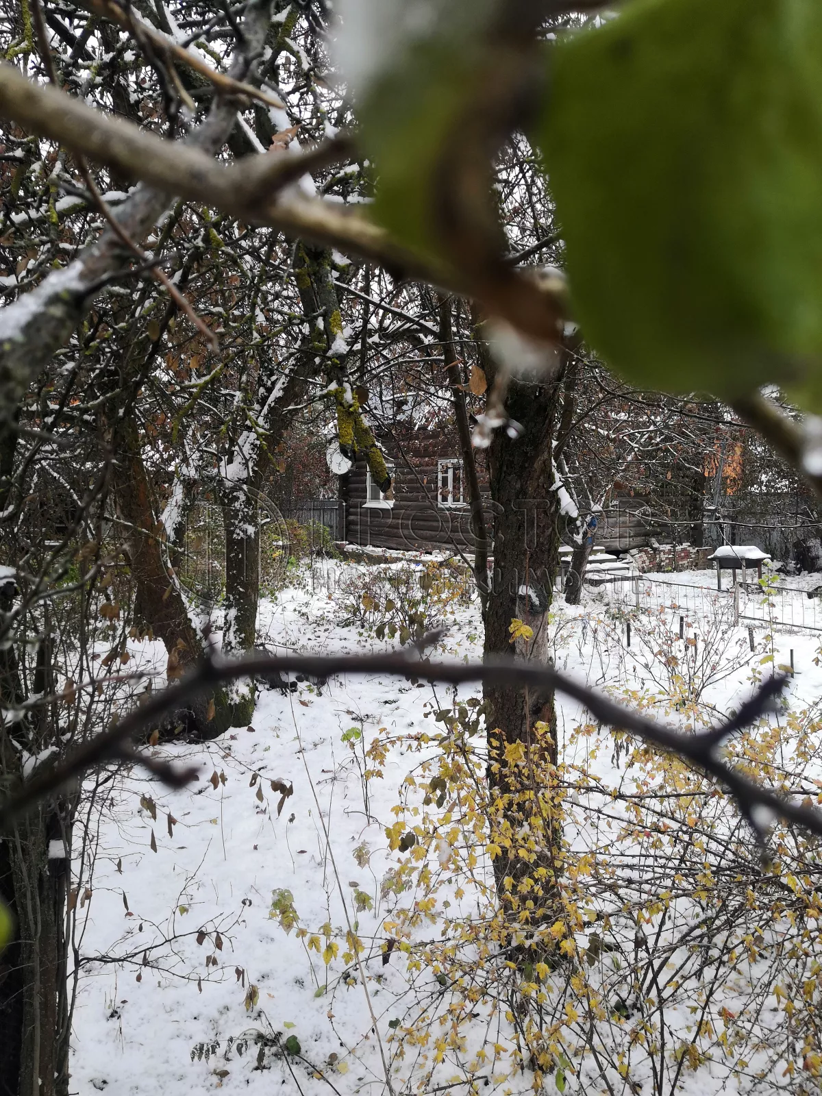 Дом, 74.4 м² - фото 4