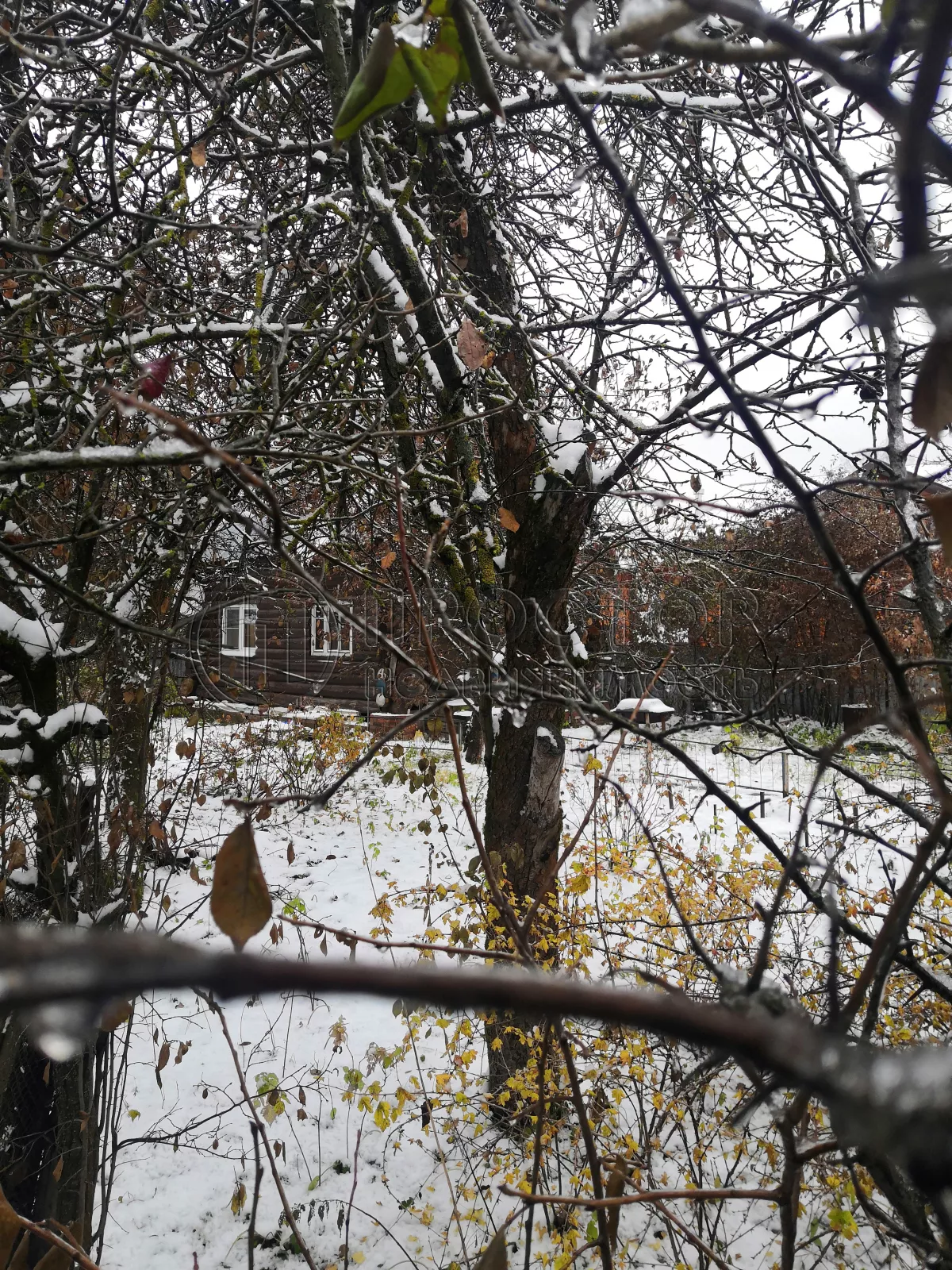 Дом, 74.4 м² - фото 5