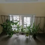 1-комнатная квартира, 31.7 м² - фото 26