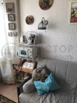 3-комнатная квартира, 76 м² - фото 29
