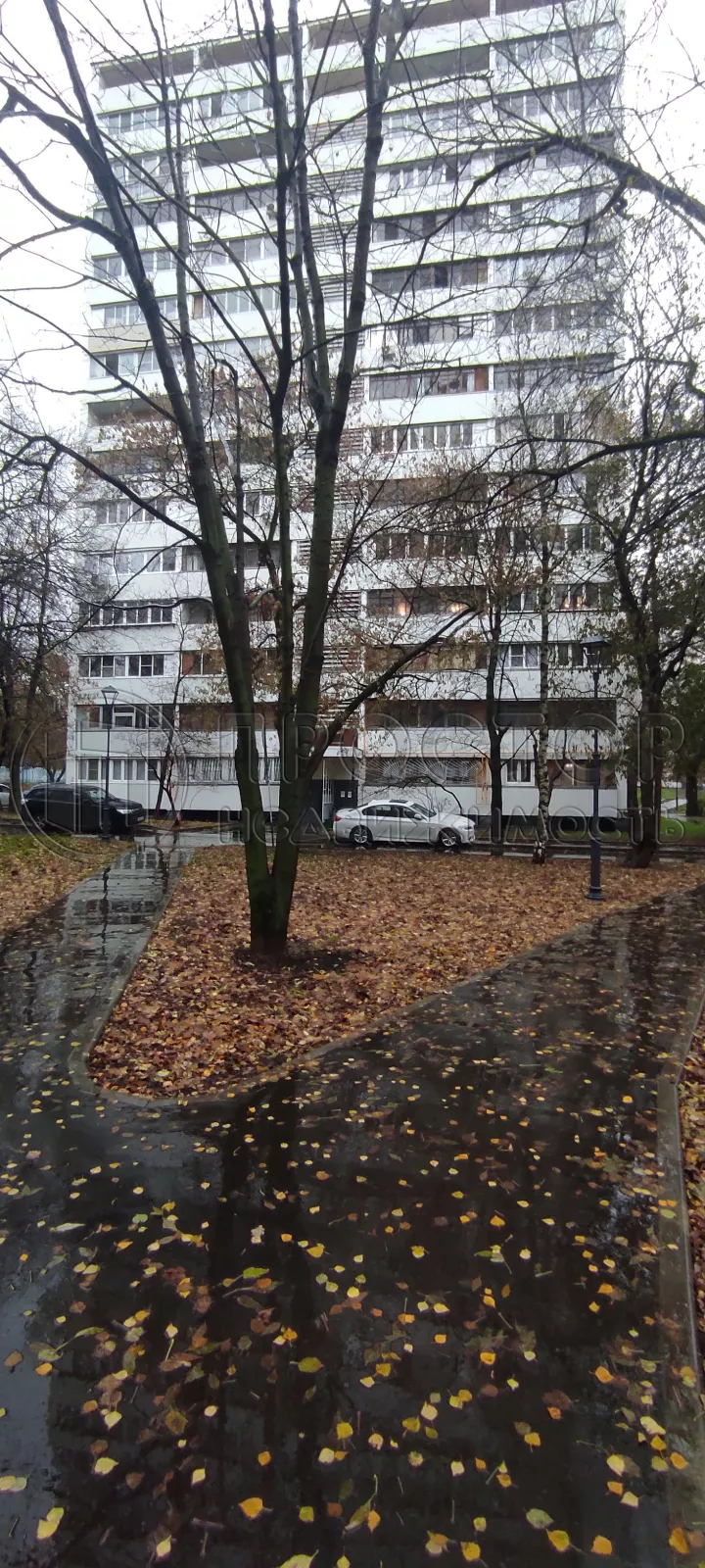 2-комнатная квартира, 42.6 м² - фото 4