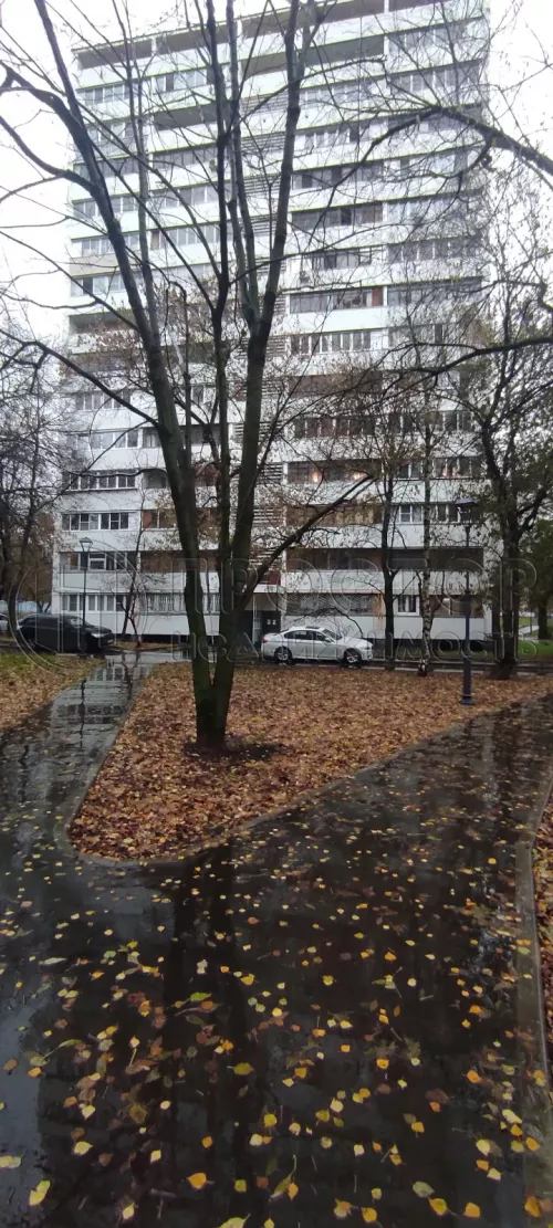 2-комнатная квартира, 42.6 м² - фото 4