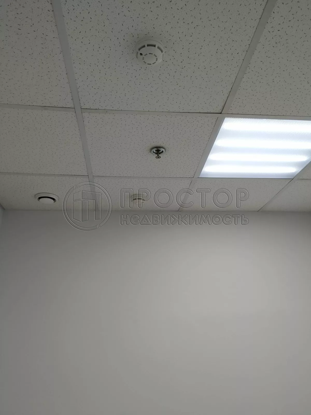 Коммерческая недвижимость (офисное), 306 м² - фото 26