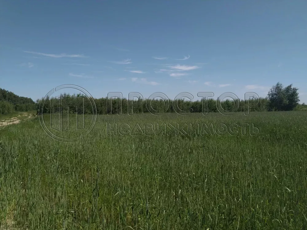 Участок, 44.28 сот. - фото 5