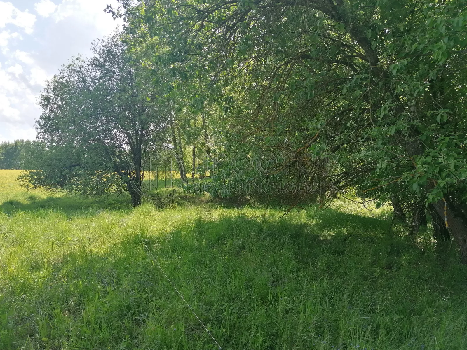 Участок, 44.28 сот. - фото 3