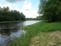 Коммерческая недвижимость (земельный участок),  м² - фото 12