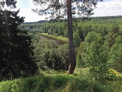 Коммерческая недвижимость (земельный участок),  м² - фото 9