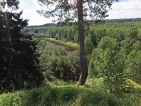 Коммерческая недвижимость (земельный участок),  м² - фото 19