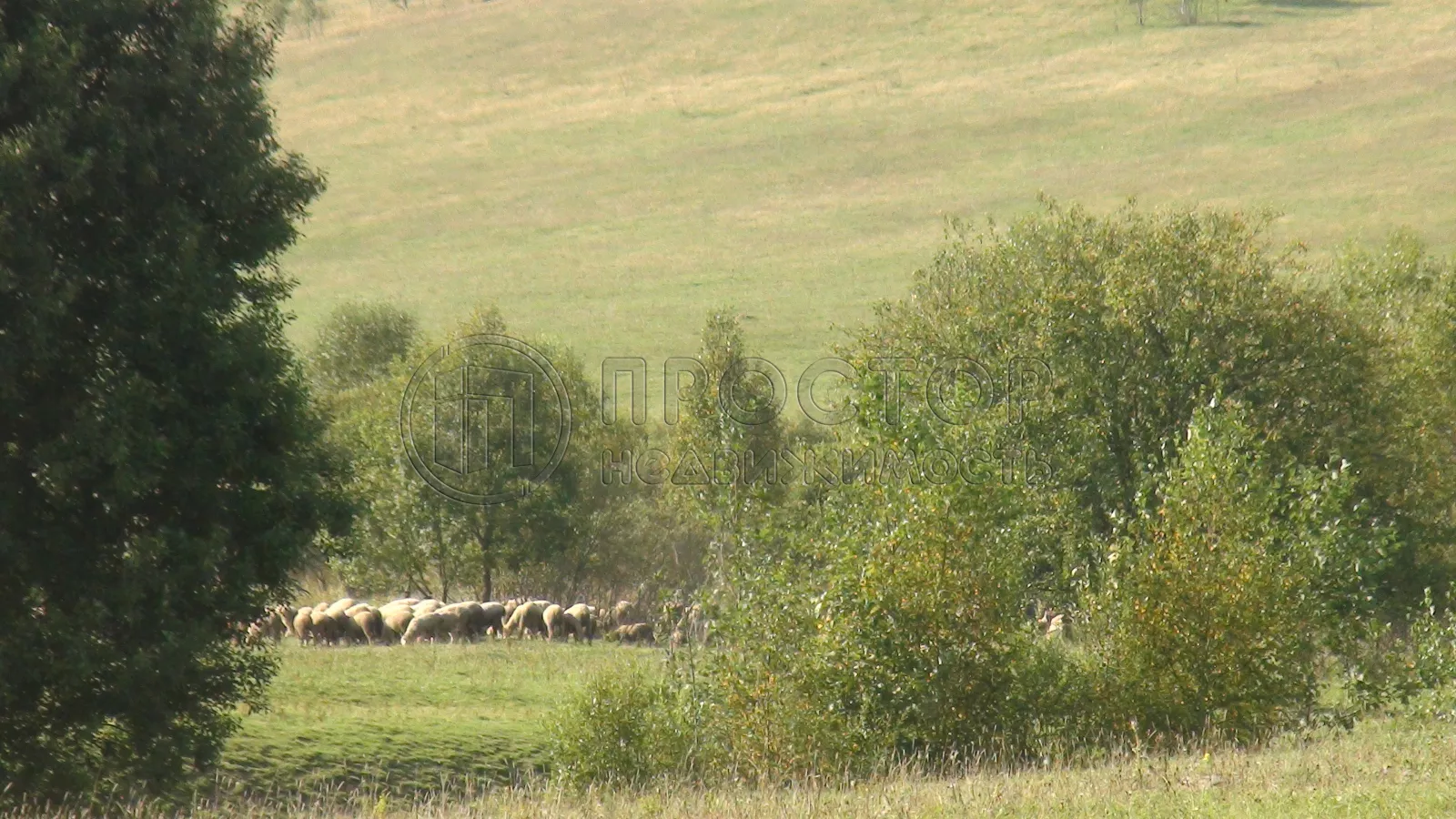 Коммерческая недвижимость (земельный участок),  м² - фото 3