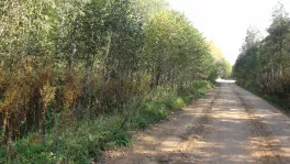 Коммерческая недвижимость (земельный участок),  м² - фото 16