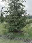 Таунхаус, 240 м² - фото 32
