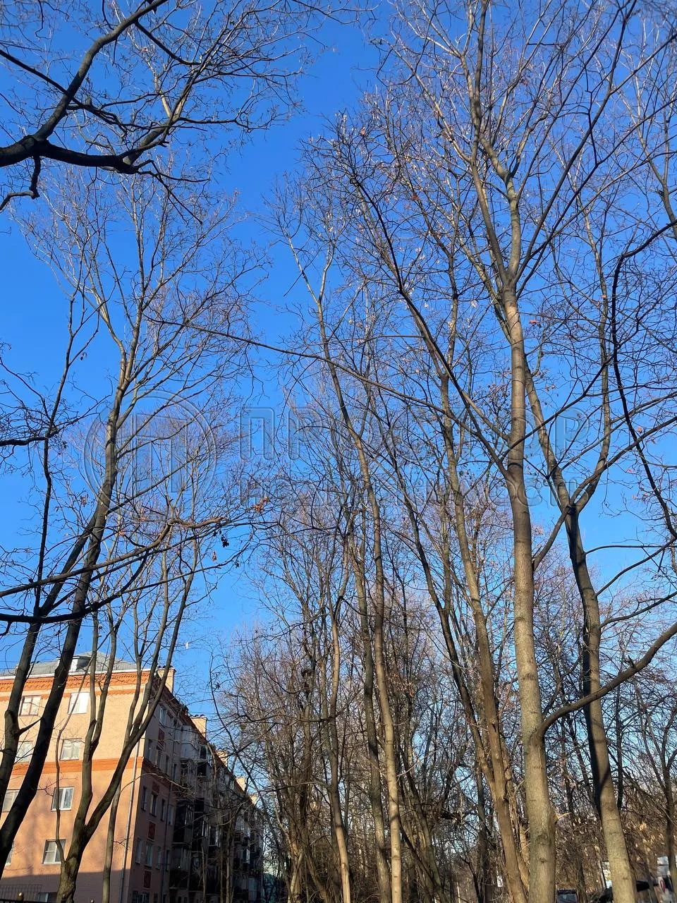 1-комнатная квартира, 32.5 м² - фото 24