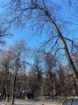 1-комнатная квартира, 32.5 м² - фото 53