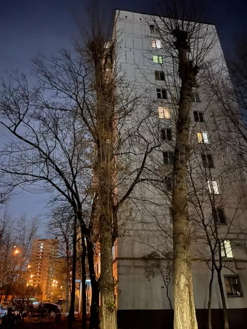 1-комнатная квартира, 32.6 м² - фото 11