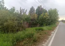 Участок, 20 сот. - фото 30