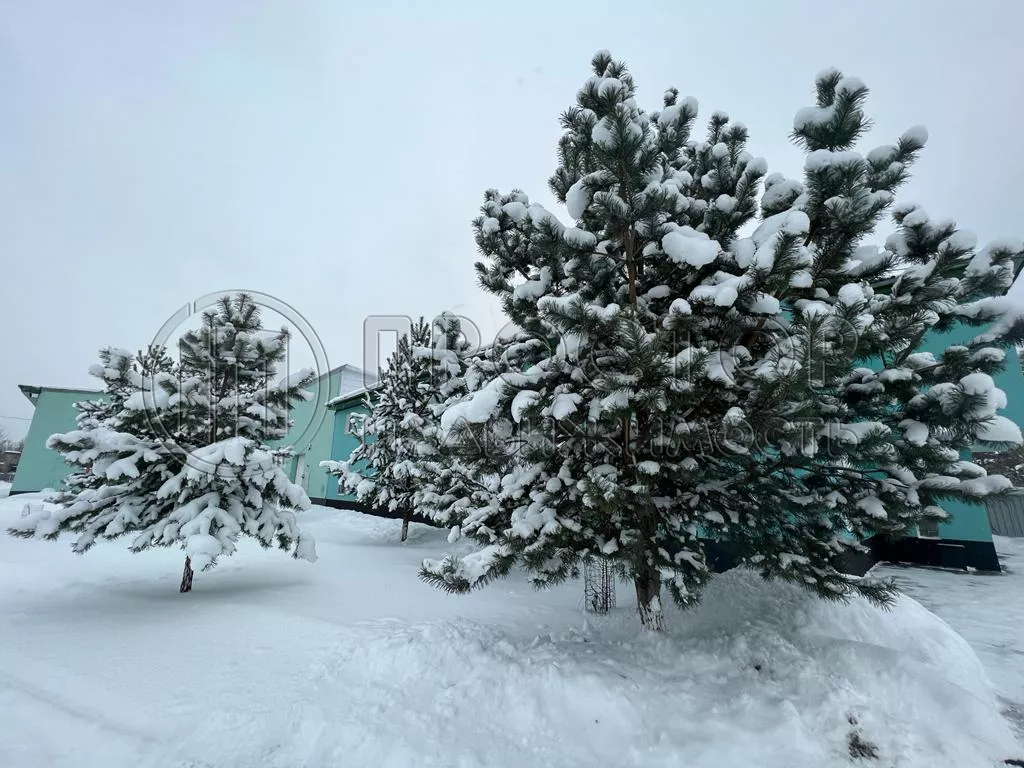 Коммерческая недвижимость (свободного назначения), 1783.2 м² - фото 22