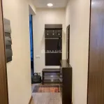 3-комнатная квартира, 52 м² - фото 50