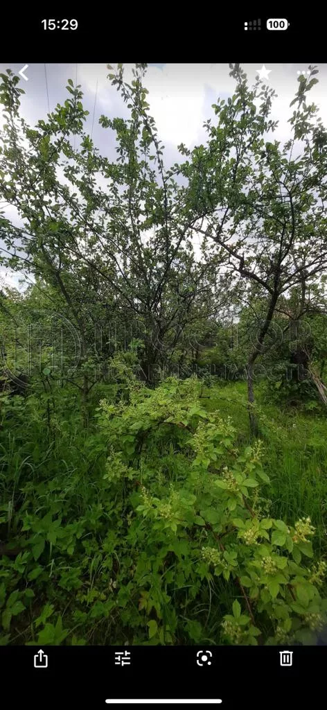 Участок, 2.5 сот. - фото 2