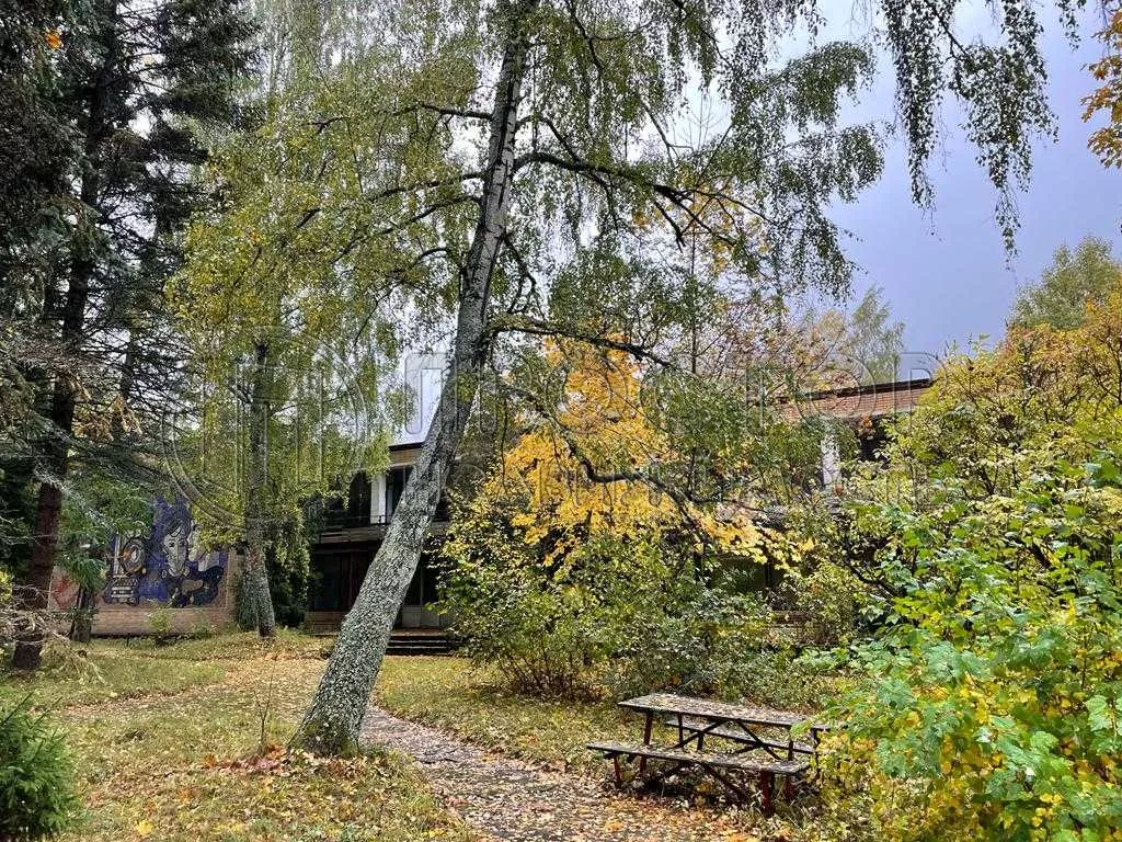 Коммерческая недвижимость (земельный участок),  м² - фото 7