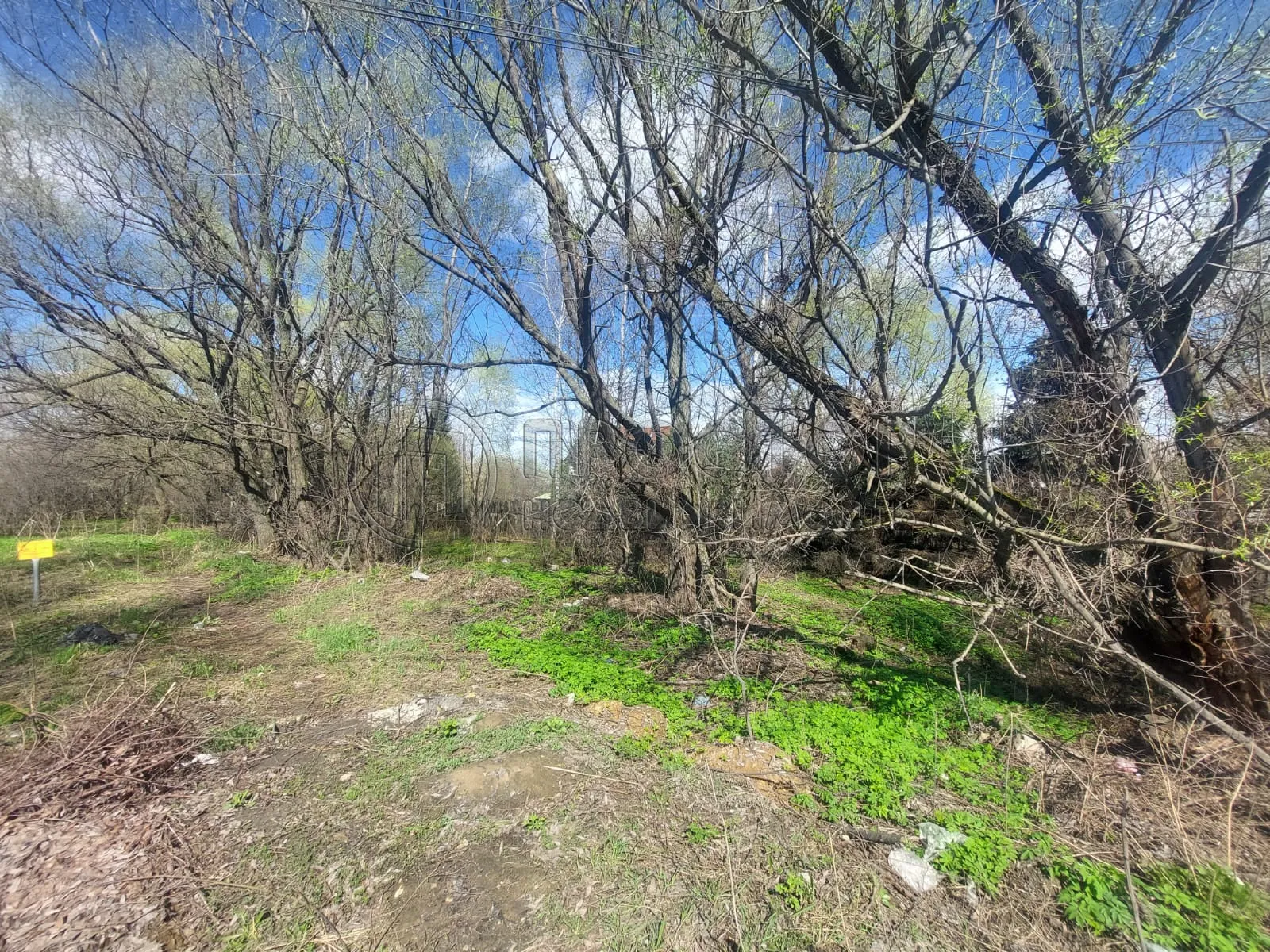 Коммерческая недвижимость (земельный участок),  м² - фото 5