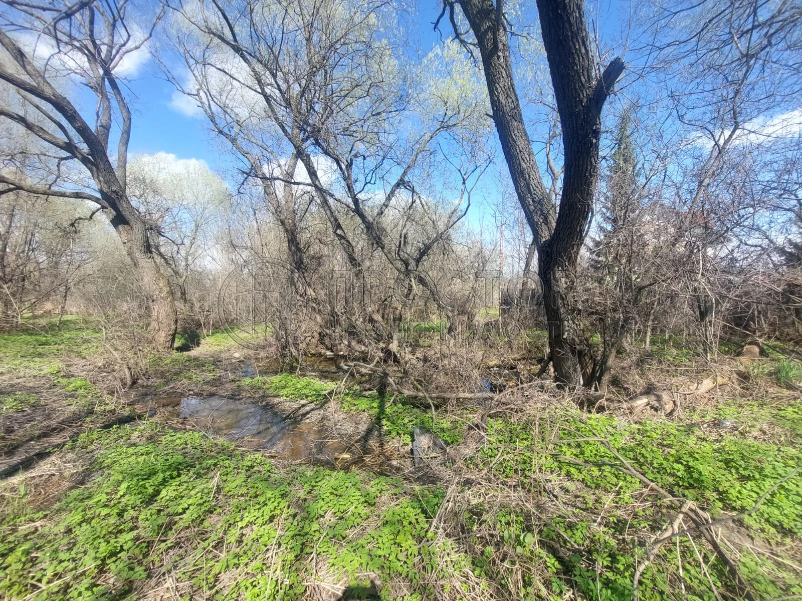 Коммерческая недвижимость (земельный участок),  м² - фото 10