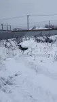 Участок, 6 сот. - фото 11