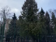 2-комнатная квартира, 44.8 м² - фото 25