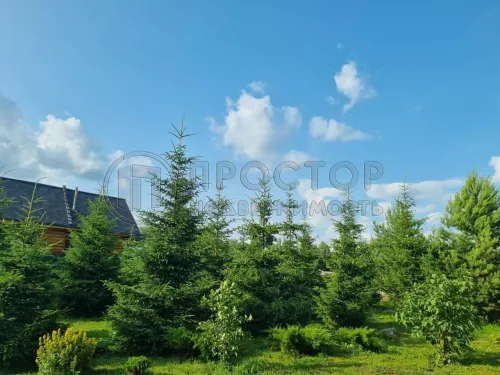 Участок, 15 сот. - фото 14