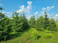 Участок, 15 сот. - фото 37