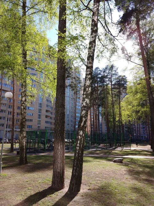 3-комнатная квартира, 64.5 м² - фото 20