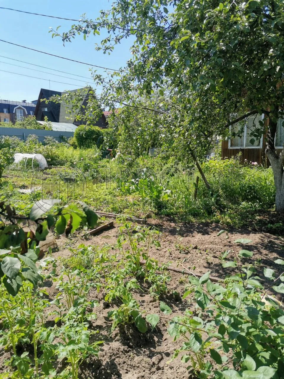 Участок, 4.7 сот. - фото 4