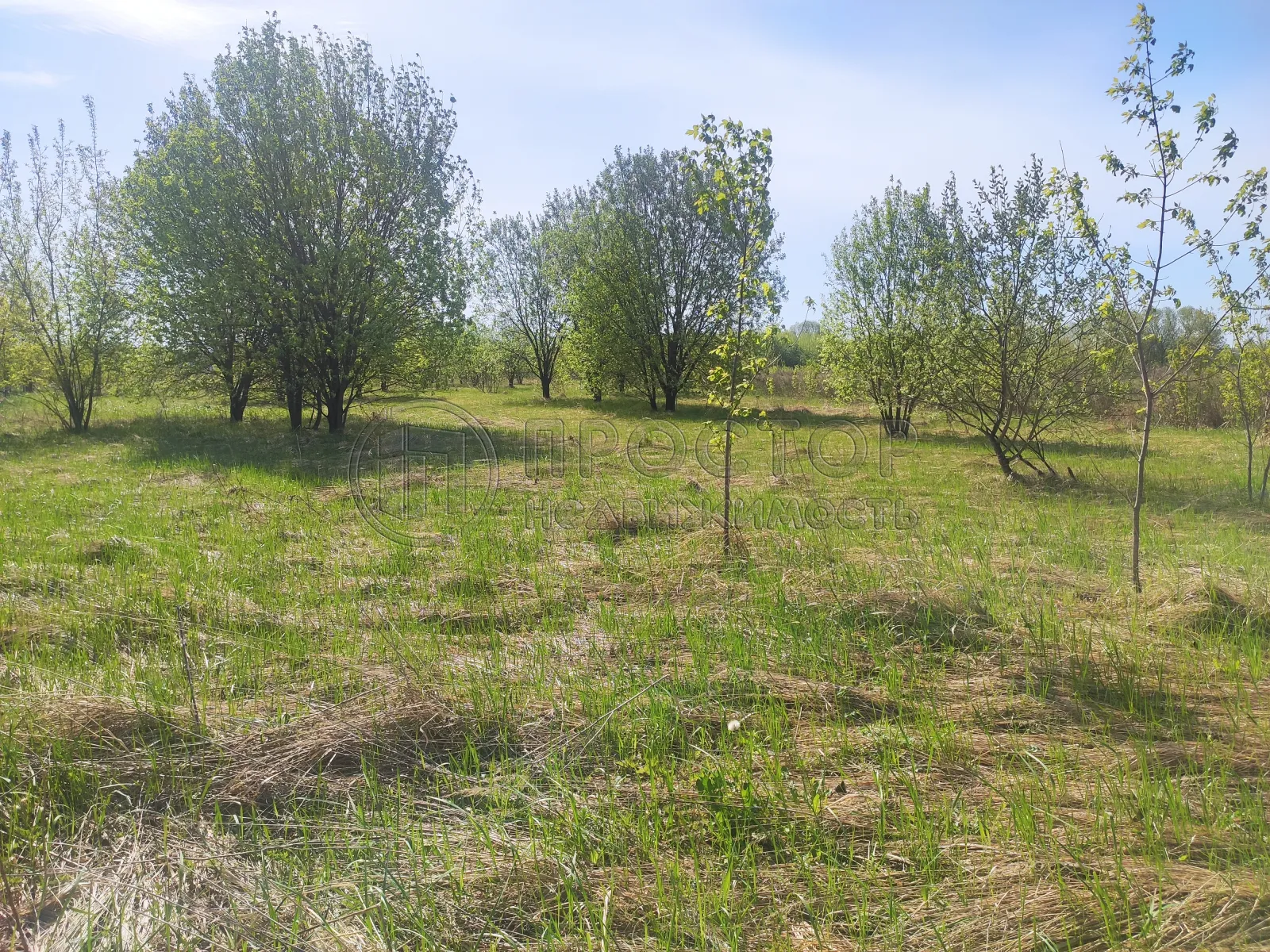 Участок, 10 сот. - фото 5