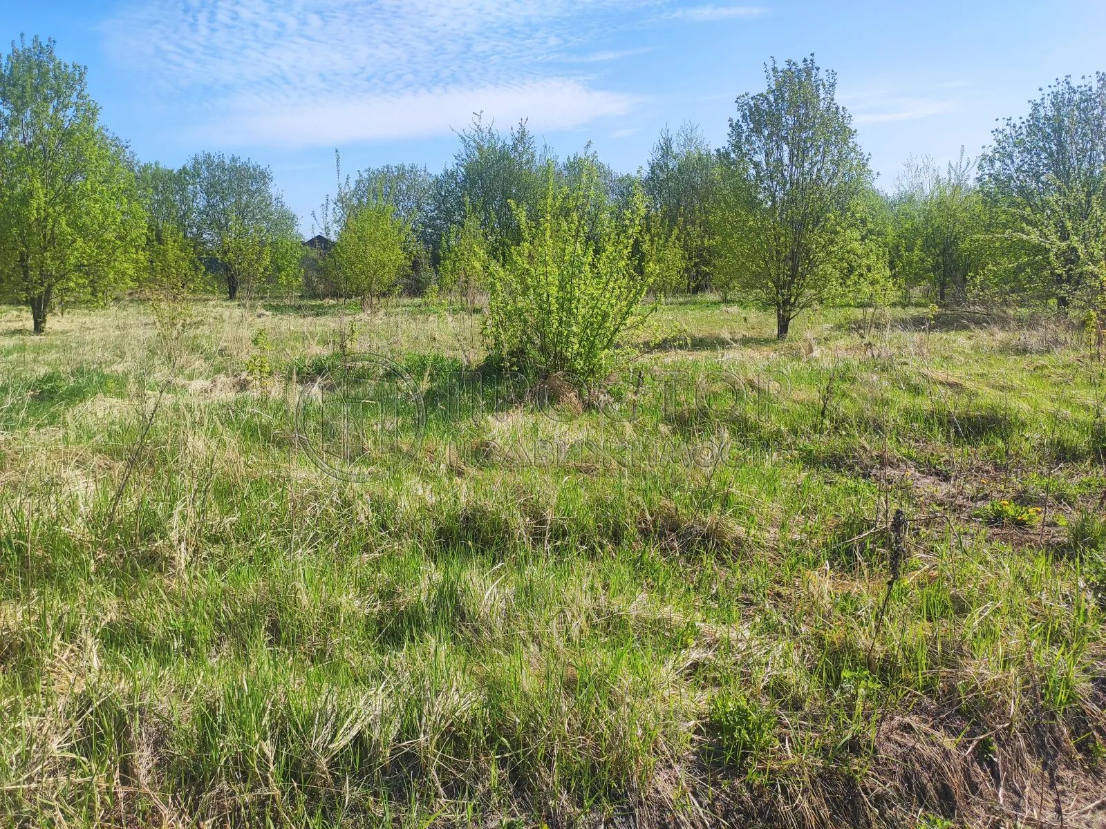 Участок, 8 сот. - фото 6