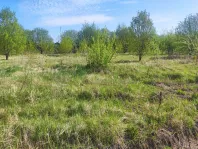 Участок, 8 сот. - фото 16