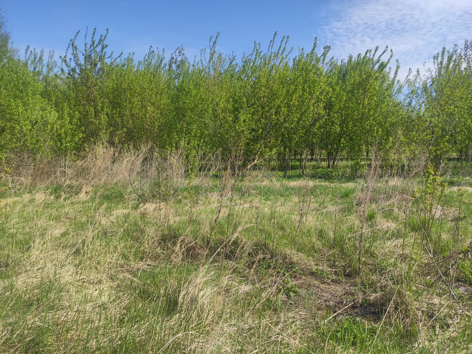 Участок, 8 сот. - фото 8