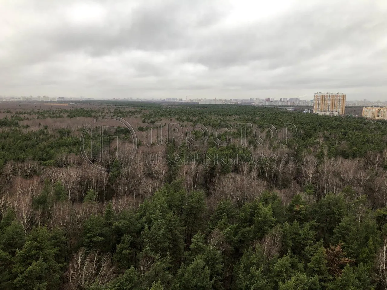 1-комнатная квартира, 39.6 м² - фото 8