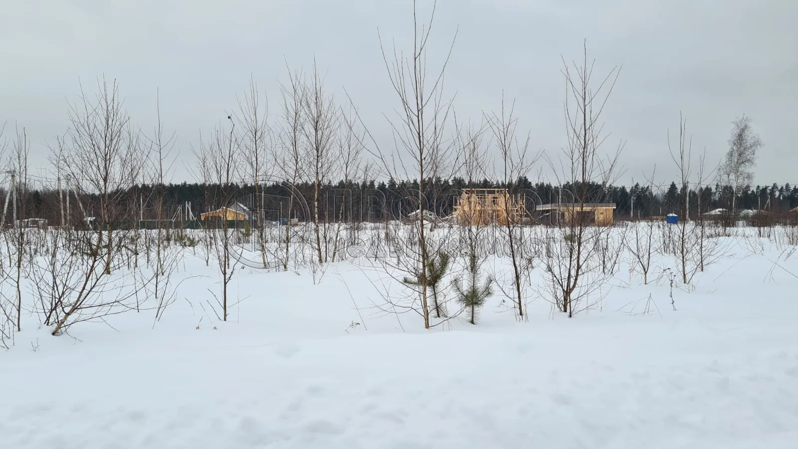 Участок, 8.1 сот. - фото 5